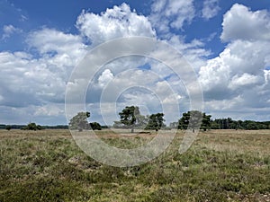 Scenery of National Park Drents-Friese Wold