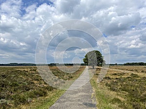 Scenery of National Park Drents-Friese Wold