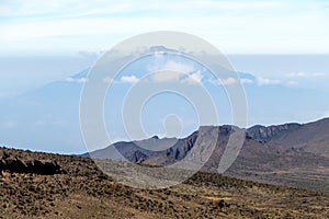 Scenery, native bush and vegetation on the slope of Mount Kilimanjaro