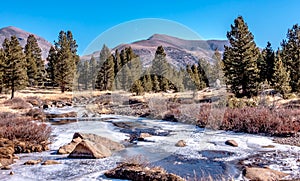 Scenery near and around tioga pass in sierra mountains