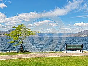 Scenery Okanagan lake overview with the bench and tree at the waterfront