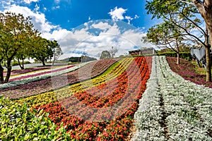 Scenery of Park at Beitou District in Taipei City