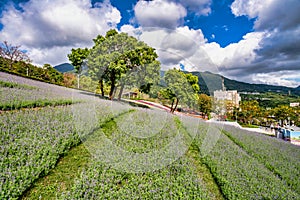 Scenery of Park at Beitou District in Taipei City