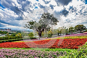 Scenery of Park at Beitou District in Taipei City