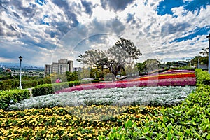 Scenery of Park at Beitou District in Taipei City