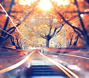 Scenery park and nature