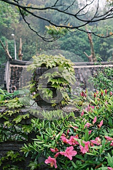 Scenery of Qingchuan Pavilion Park in Hanyang, Wuhan, Hubei, China