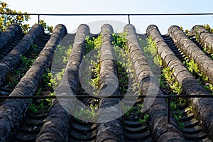 Scenery of Qingchuan Pavilion Park in Hanyang, Wuhan, Hubei, China