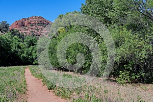 Scenery in Red Rock State Park