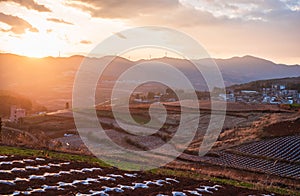 The scenery of red soil under the sunset