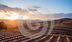 The scenery of red soil under the sunset