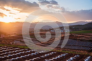 The scenery of red soil under the sunset