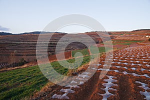 The scenery of red soil under the sunset