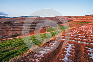 The scenery of red soil under the sunset
