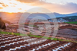 The scenery of red soil under the sunset