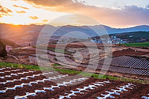 The scenery of red soil under the sunset