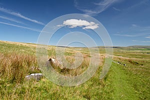 Scenery in Ribblesdale near Winterscale Beck in Yorkshire Dales