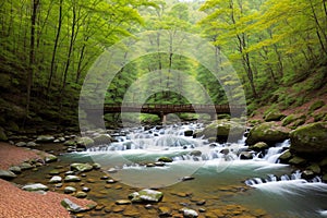 Scenery with river and forest at Appalachian Trail near Goshen Pass, Blue Ridge Mountains, Virginia, USA