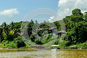 Scenery from the river Sungai tembeling photo