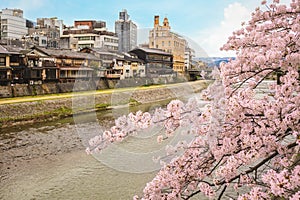 Riverbank of Kamo River in Kyoto, kinki, japan photo