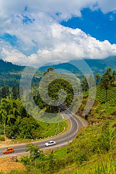 Scenery road through green hills and tea plantations. Sri Lanka natural landscape