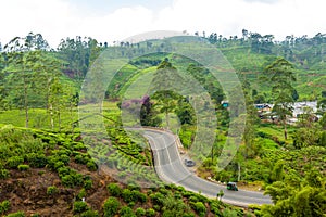 Scenery road through green hills and tea plantations. Sri Lanka natural landscape