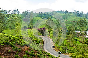 Scenery road through green hills and tea plantations. Sri Lanka natural landscape