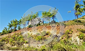 Scenery with rock and trees  in Kemer, Turkey