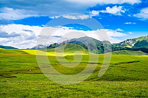 Scenery of Ruoergai grassland in early autumn