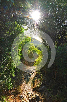 Scenery on Samos