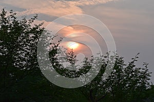 This is an scenery or scenic view of beautiful sunrise scenario in keoladeo national park in rajasthan india