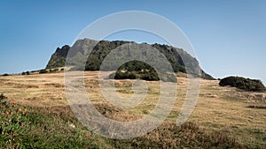 Scenery of Seongsan Ilchubong with golden grass field in day time at Jeju island, South Korea