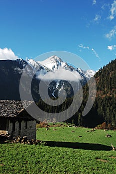 Scenery in Shangrila