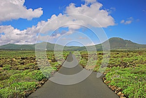 The scenery with a small road and bushes and mountain background outside nearby Cueva de Los Verdes, Lanzarote, Spain