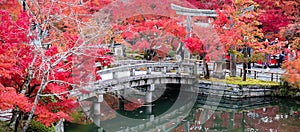 Scenery Stone bridge and pond with colorful leaves in Eikando temple, beautiful nature garden in Autumn foliage season, landmark