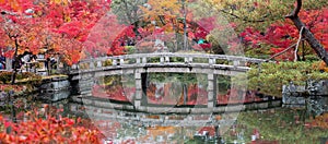 Scenery Stone bridge and pond with colorful leaves in Eikando temple, beautiful nature garden in Autumn foliage season, landmark