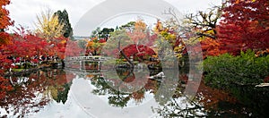 Scenery Stone bridge and pond with colorful leaves in Eikando temple, beautiful nature garden in Autumn foliage season, landmark