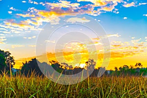 Scenery in the sunset