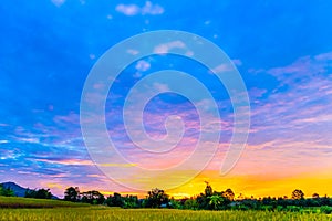 Scenery in the sunset