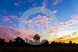 Scenery in the sunset