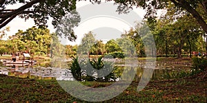 Scenery of swamp full of water lily and aquatic plants