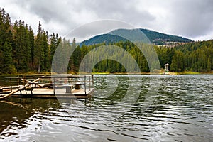 scenery of a synevyr lake in spring