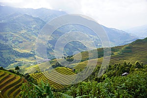 The scenery of terraced fields in Mu Cang Chai in the ripe rice season