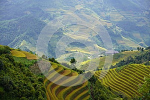 The scenery of terraced fields in Mu Cang Chai in the ripe rice season