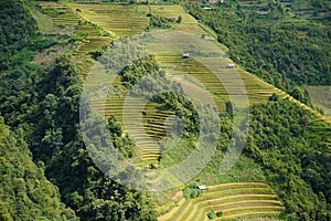 The scenery of terraced fields in Mu Cang Chai in the ripe rice season