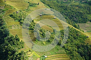 The scenery of terraced fields in Mu Cang Chai in the ripe rice season