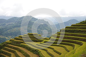 The scenery of terraced fields in Mu Cang Chai in the ripe rice season