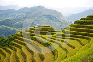 The scenery of terraced fields in Mu Cang Chai in the ripe rice season