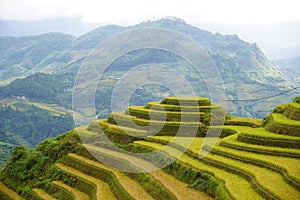 The scenery of terraced fields in Mu Cang Chai in the ripe rice season