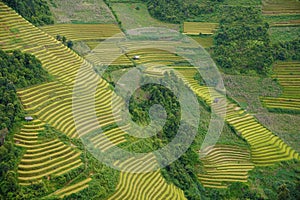 The scenery of terraced fields in Mu Cang Chai in the ripe rice season